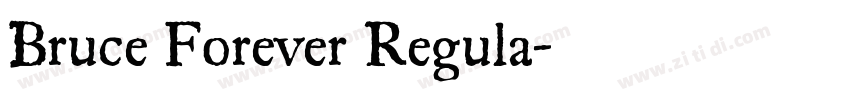 Bruce Forever Regula字体转换